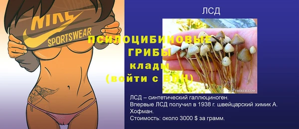 гидропоника Володарск