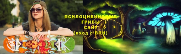 гидропоника Володарск