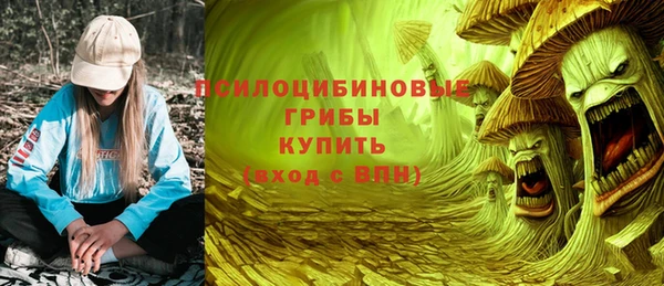 МДПВ Волоколамск