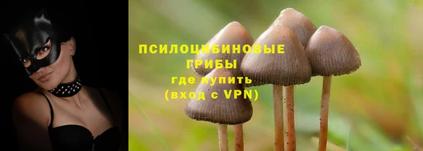 МДПВ Волоколамск