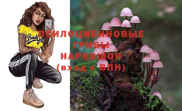 МДПВ Волоколамск