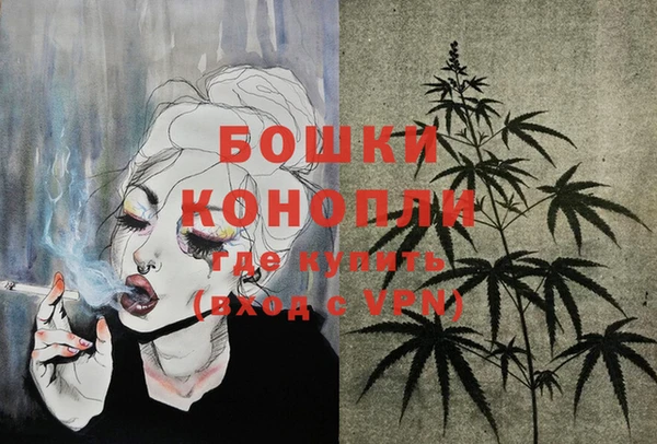 МДПВ Волоколамск