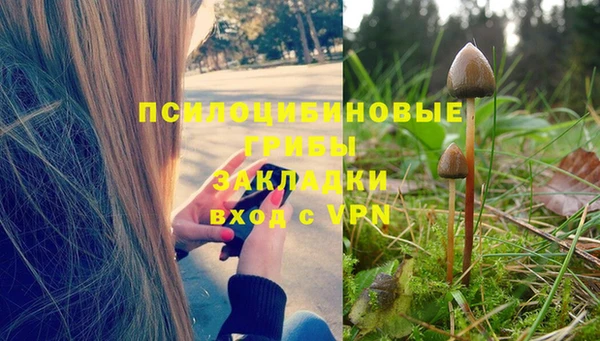 гидропоника Володарск