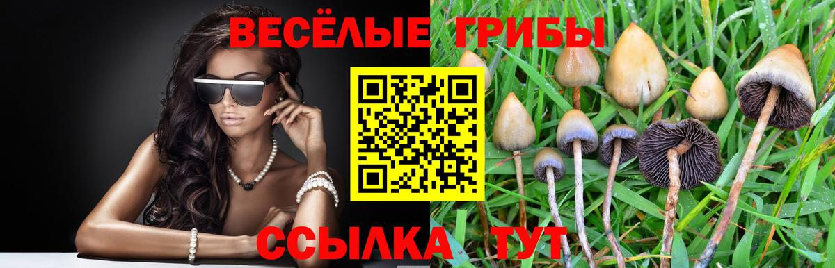 Галлюциногенные грибы GOLDEN TEACHER Мценск